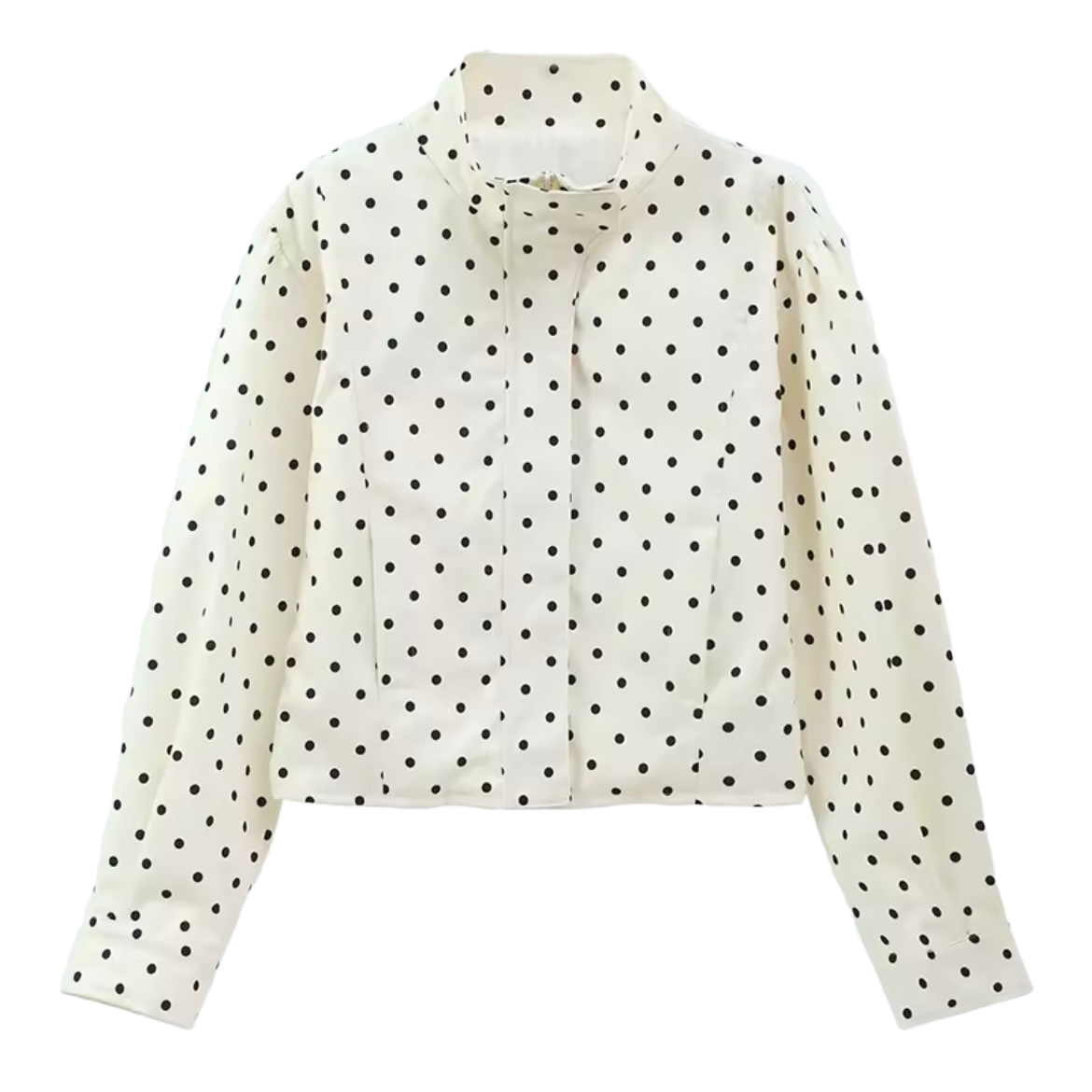 The Dalmatian Windbreaker